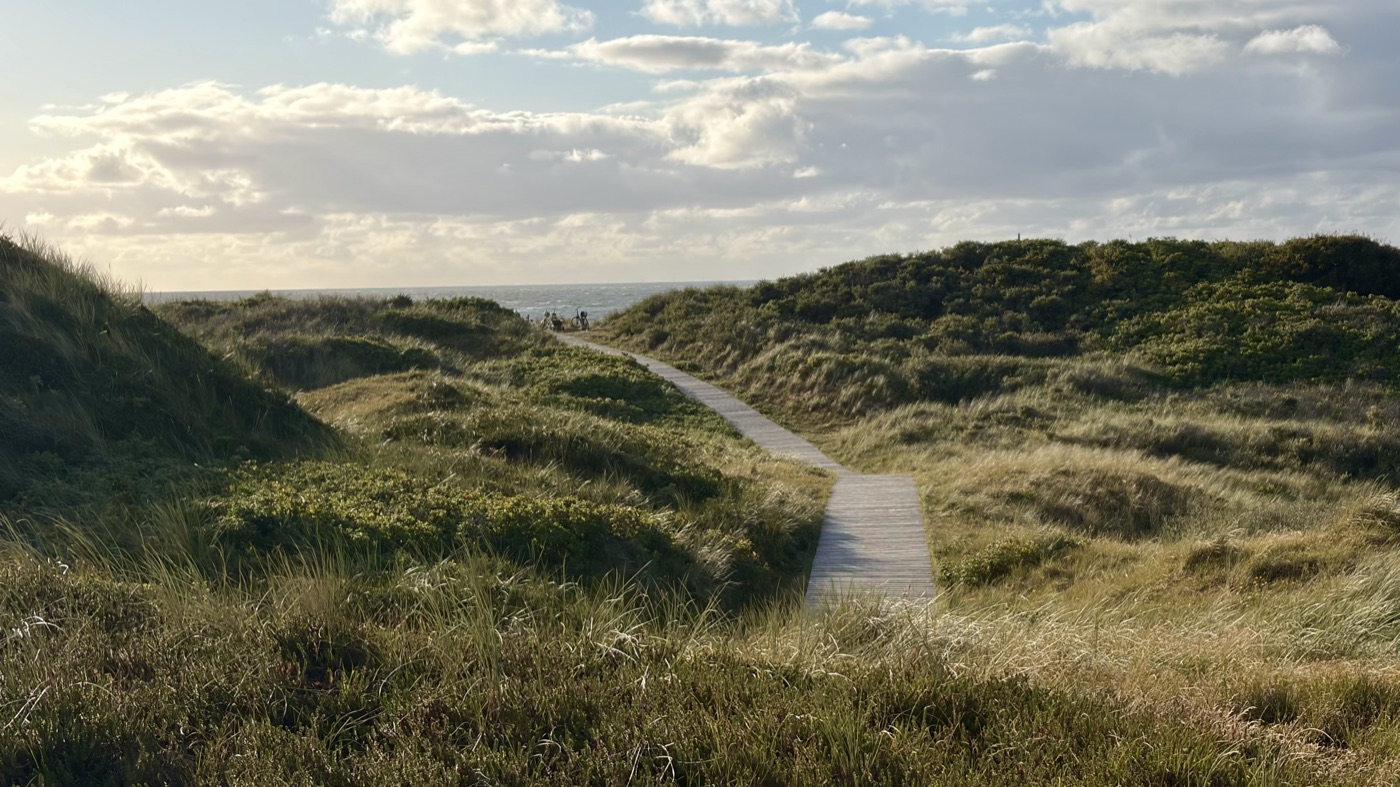 Bohlenweg durch die Dünen zum Meer